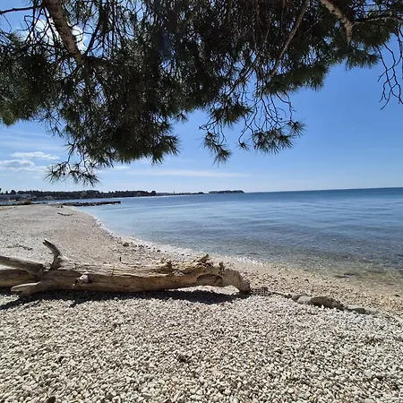 Apartment Spadici Mit 2 Schlafzimmern 300m Bis Zum Porec